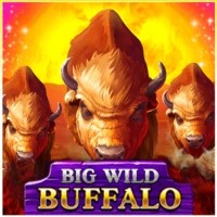 Logo of Big Wild Buffalo from Belatra Games at Fortune Casino